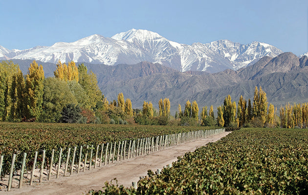 The Malbec problem